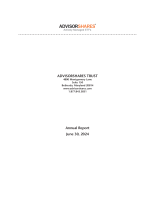 AdvisorShares Trust Annual Report 2024