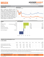 MSOX Factsheet